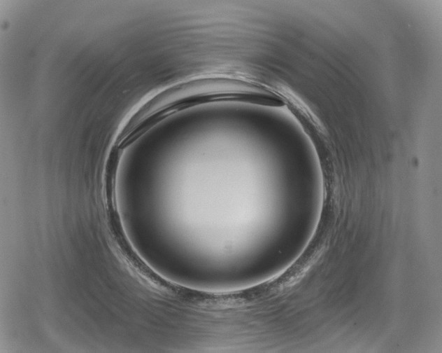 X0000080200884200612081424