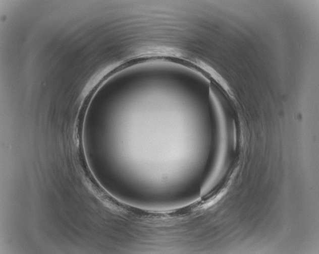 X0000080200885200612081424