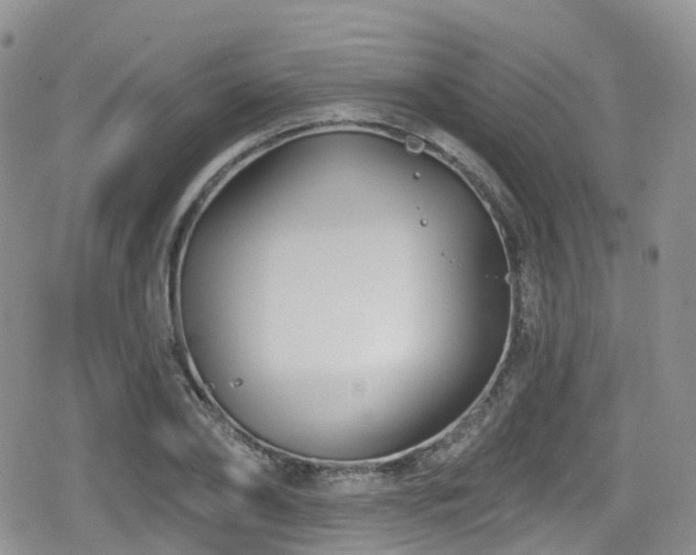 X0000080200886200612081424