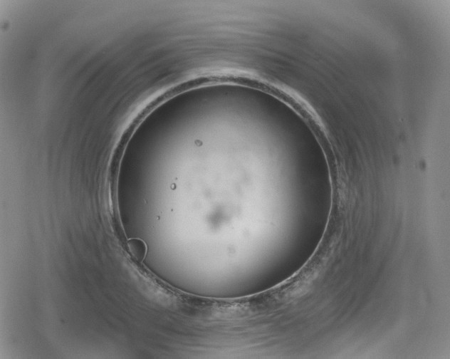 X0000080200887200612081424