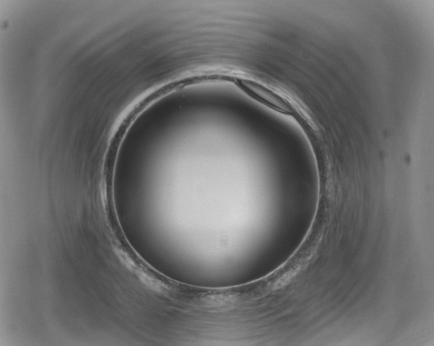 X0000080200888200612081424