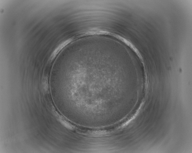 X0000080200889200612081424