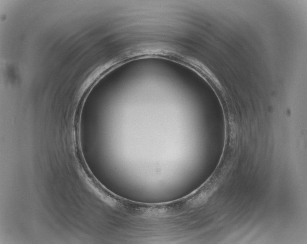 X0000080200890200612081424