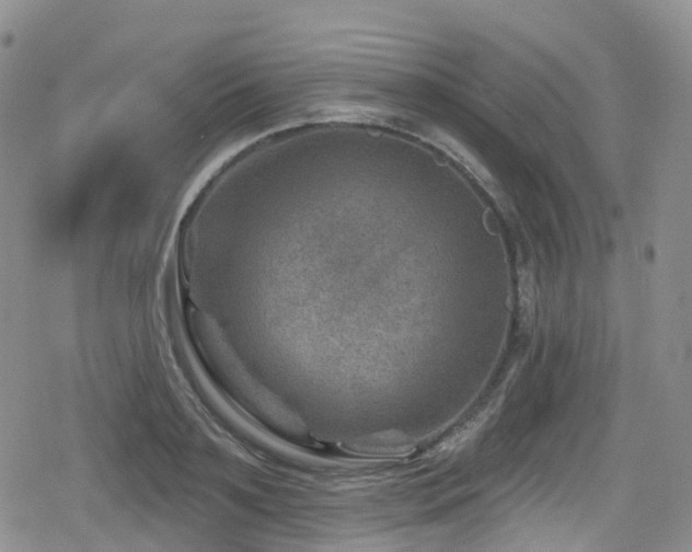 X0000080200891200612081424