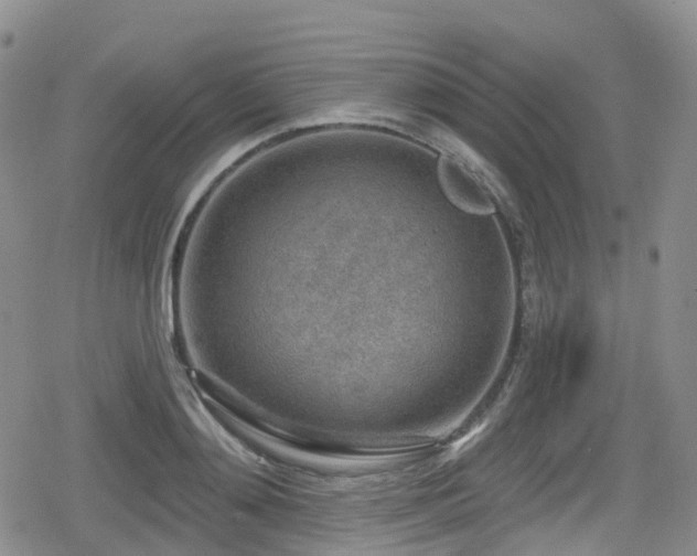 X0000080200892200612081424