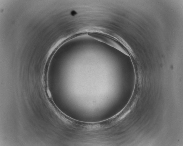 X0000080200893200612081424