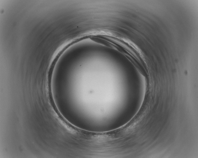 X0000080200894200612081424