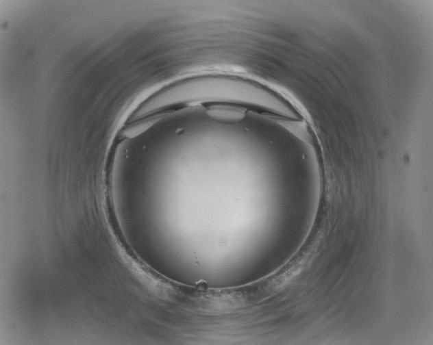 X0000080200895200612081424