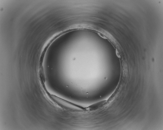 X0000080200896200612081424