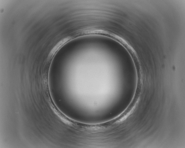 X0000080200897200612081424