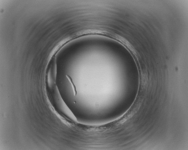 X0000080200898200612081424