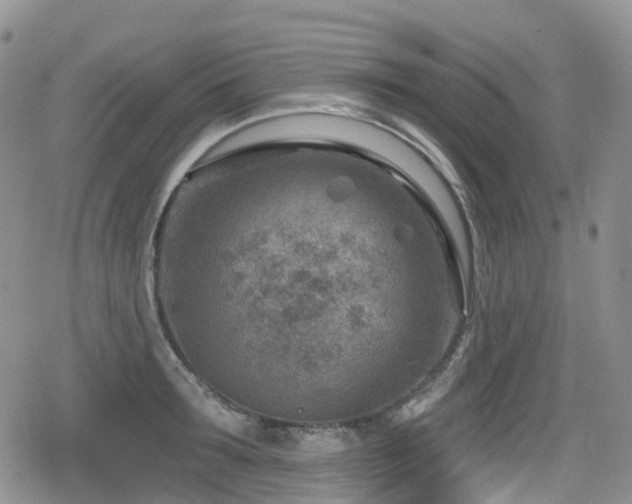 X0000080200899200612081424