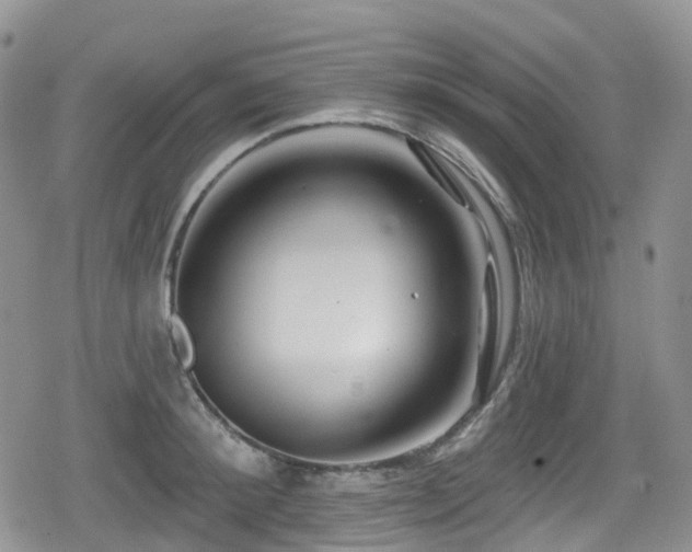 X0000080200900200612081424