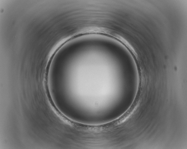 X0000080200901200612081424