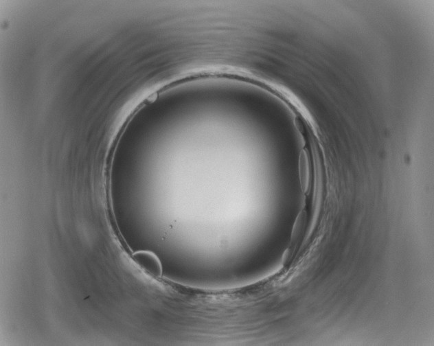 X0000080200903200612081424