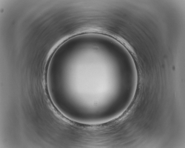 X0000080200904200612081424