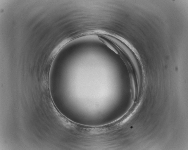 X0000080200905200612081424