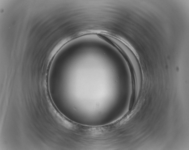 X0000080200906200612081424