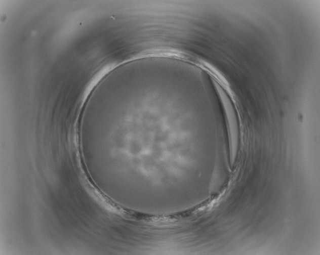 X0000080200907200612081424