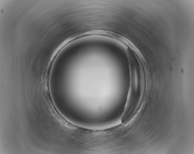 X0000080200908200612081424