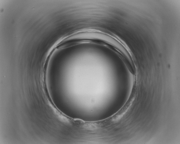 X0000080200909200612081424