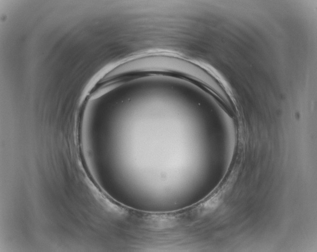 X0000080200910200612081424