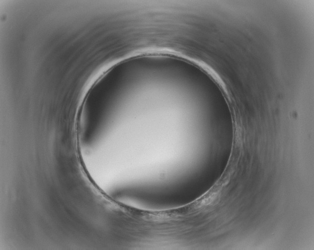 X0000080200911200612081424