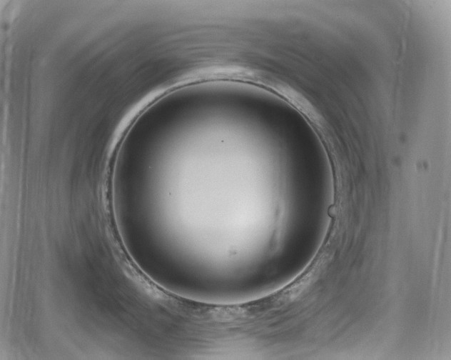 X0000080200912200612081424