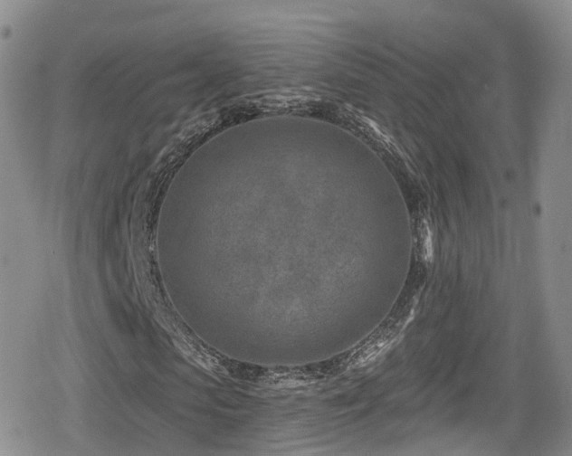 X0000080200913200612081423