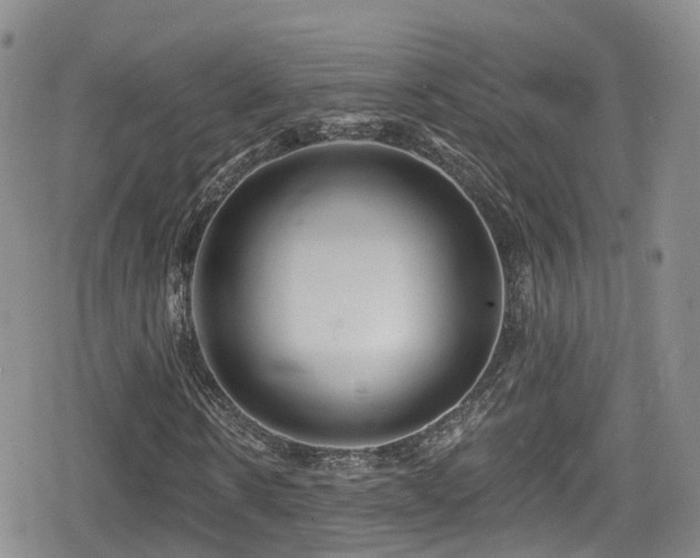 X0000080200914200612081423