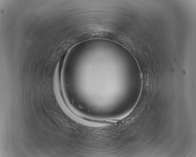 X0000080200916200612081423