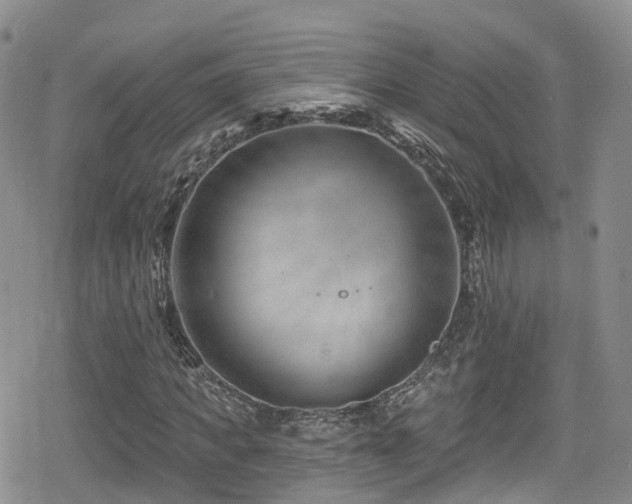 X0000080200917200612081423