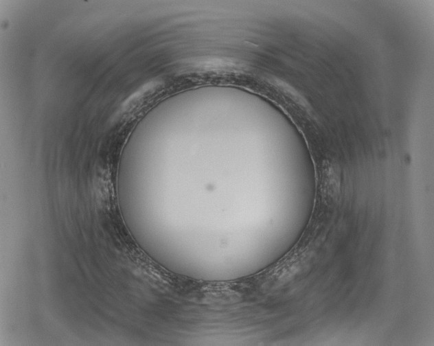 X0000080200918200612081423