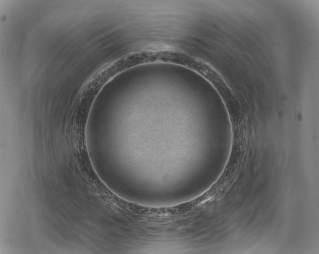 X0000080200919200612081423