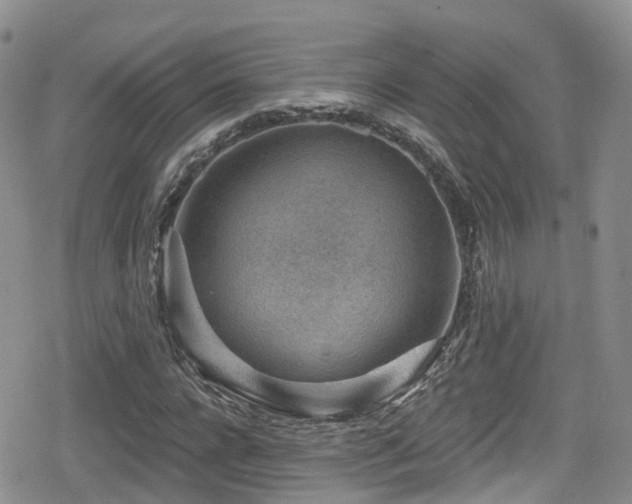 X0000080200920200612081423