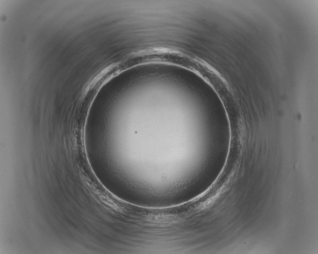 X0000080200921200612081423