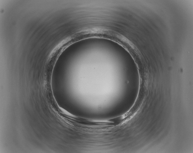 X0000080200922200612081423