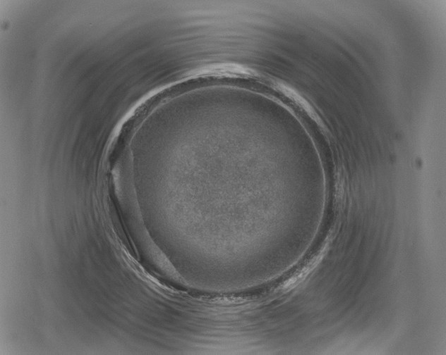 X0000080200923200612081423