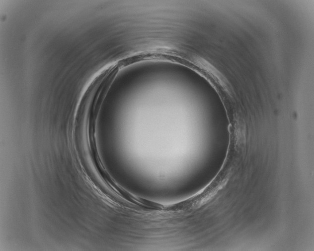 X0000080200924200612081423