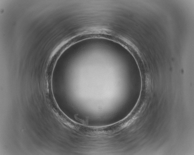 X0000080200925200612081423