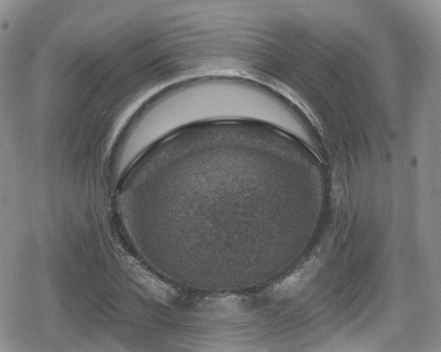 X0000080200926200612081423