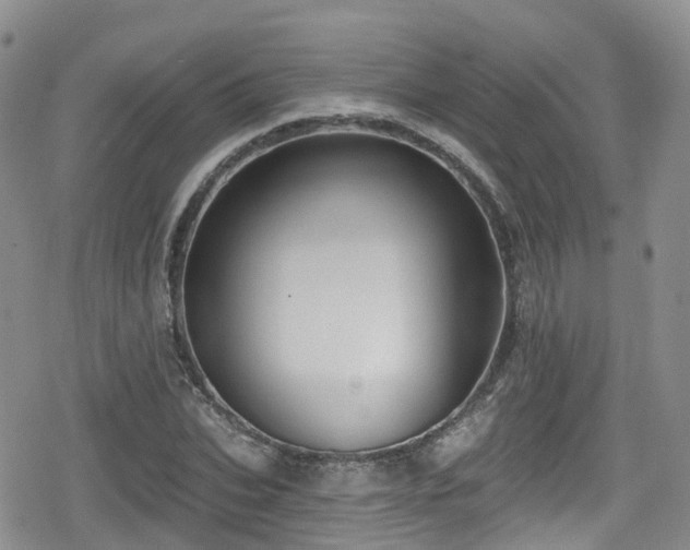 X0000080200927200612081423