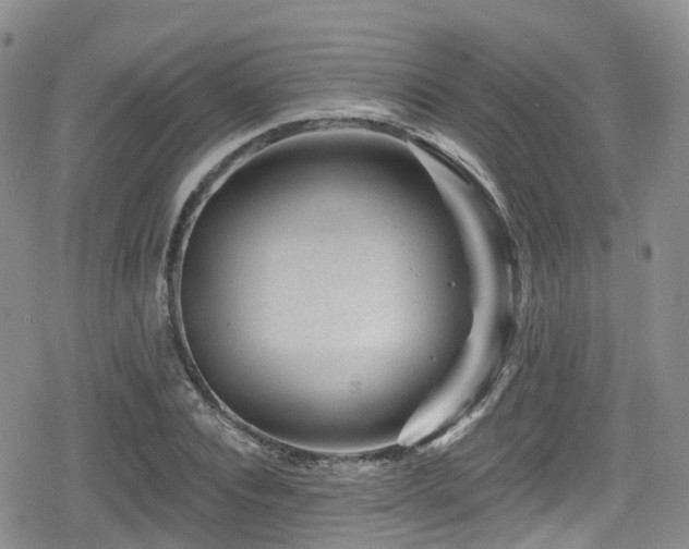 X0000080200928200612081423