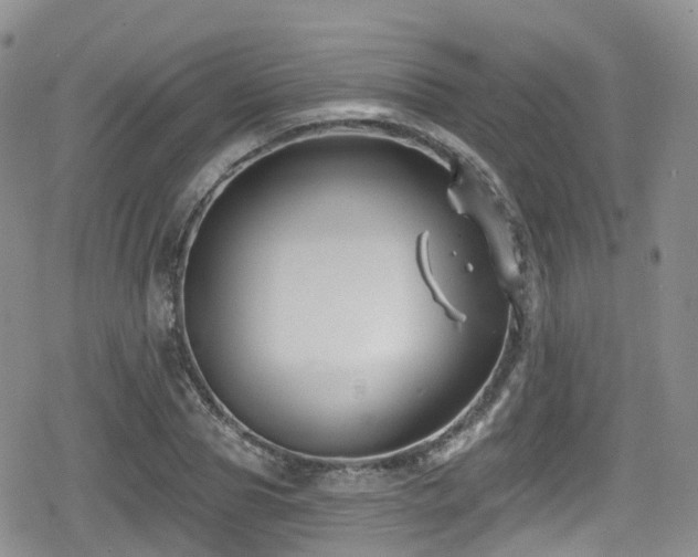 X0000080200929200612081423