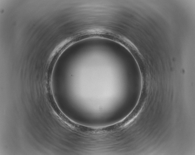 X0000080200930200612081423