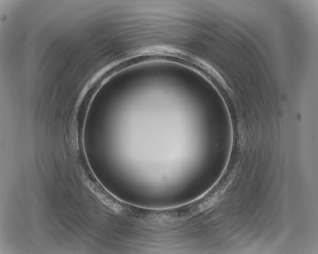 X0000080200931200612081423