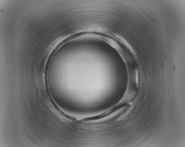 X0000080200932200612081424