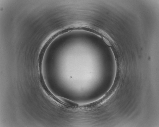 X0000080200934200612081424