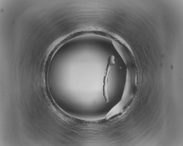 X0000080200935200612081424