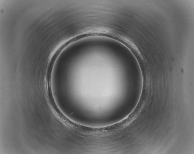 X0000080200936200612081424